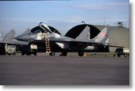 mig29 (37).jpg